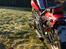 Regal Raptor DD250E-9B