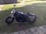 Harley Davidson Sportster xl 1200 custom