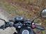 Honda MSX 125 aka GROM Solgt!