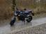Honda MSX 125 aka GROM Solgt!