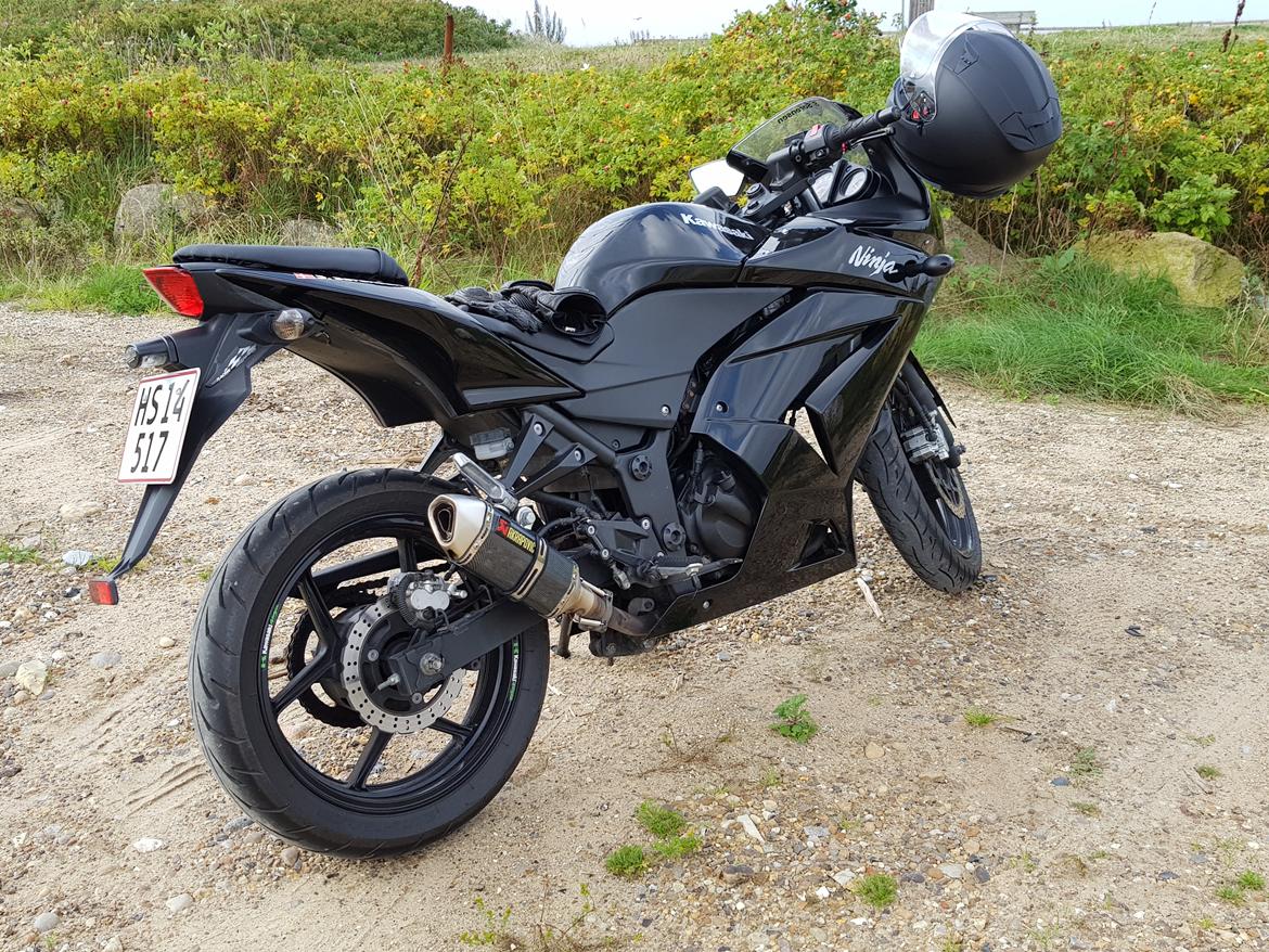Kawasaki Ninja 250R billede 5