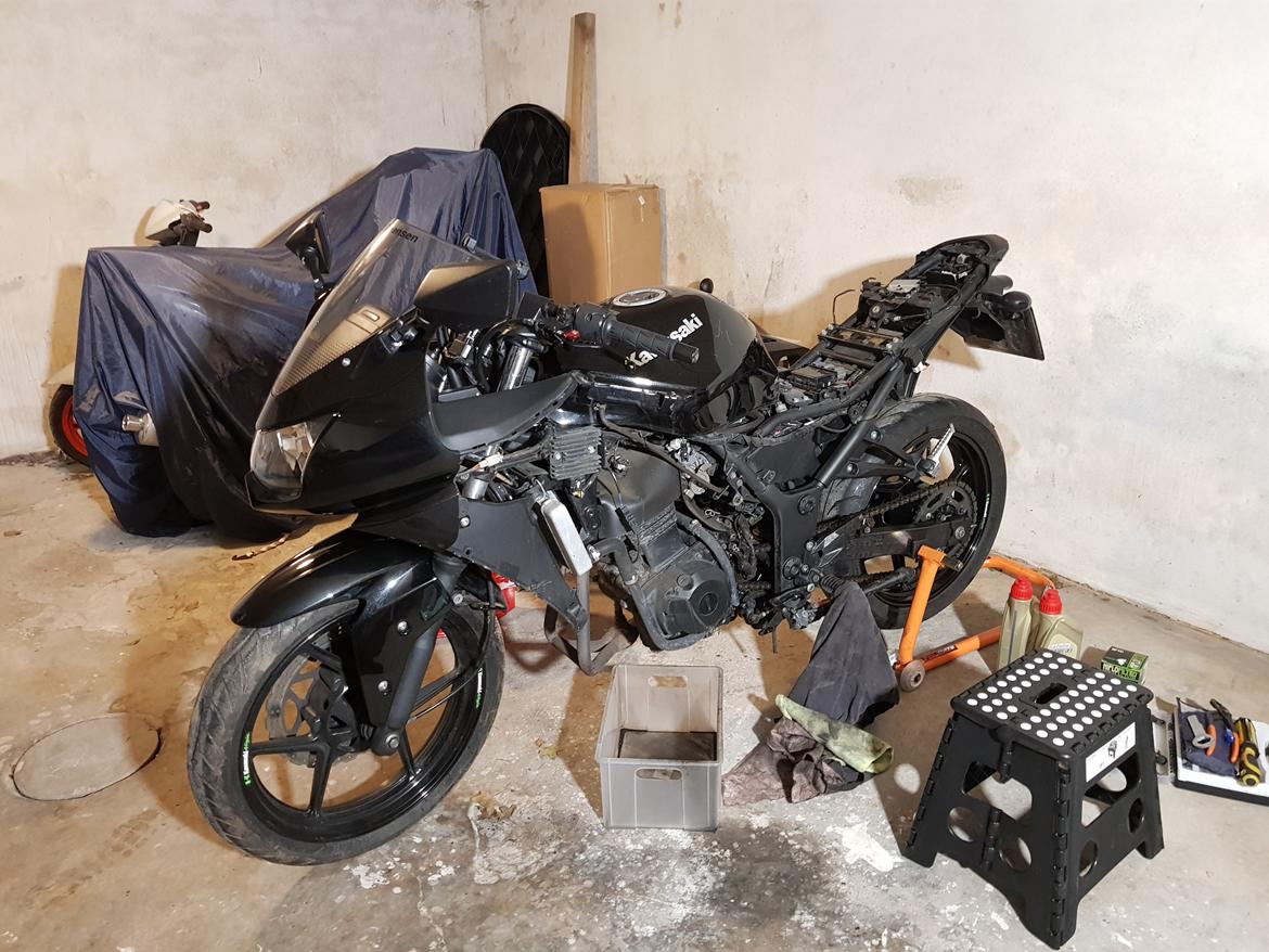 Kawasaki Ninja 250R billede 10