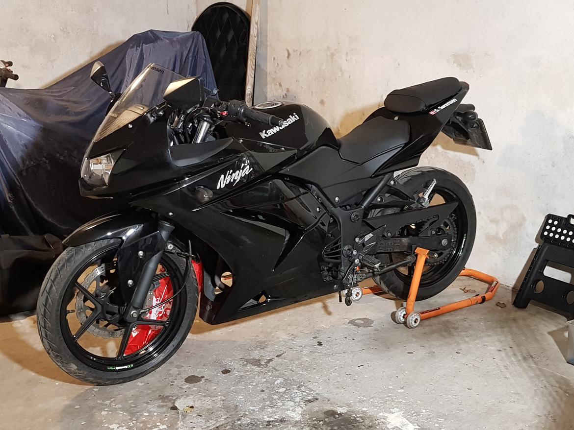 Kawasaki Ninja 250R billede 11