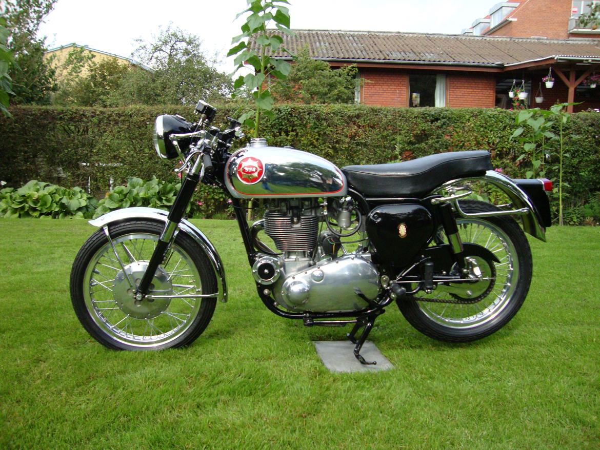 BSA Gold Star Clubman DBD billede 1