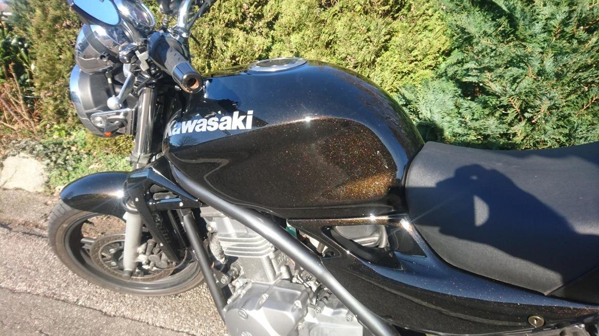 Kawasaki ER 5 billede 6