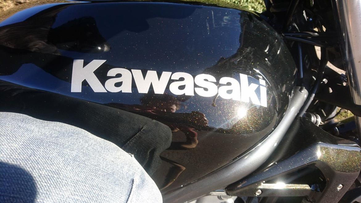 Kawasaki ER 5 billede 2