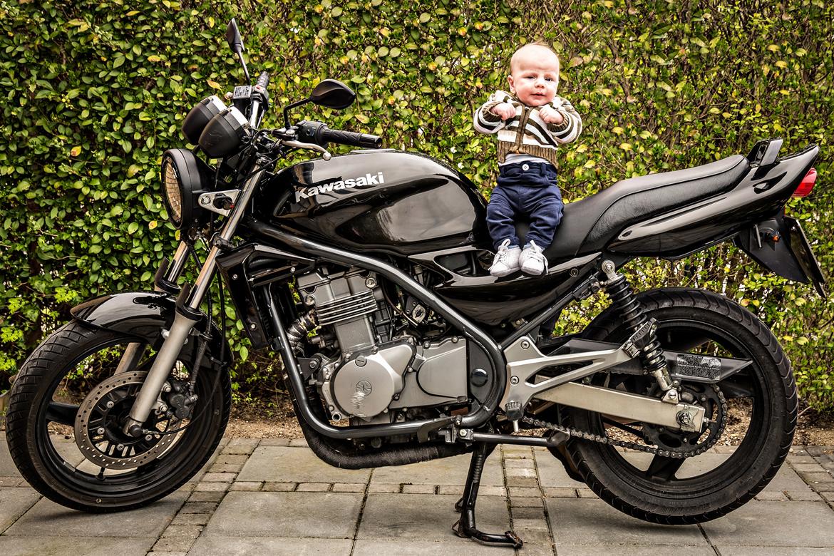 Kawasaki ER 5 billede 11