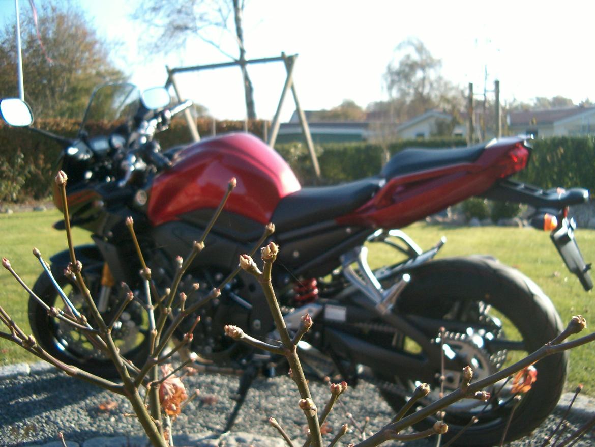 Yamaha FZ1-S billede 2