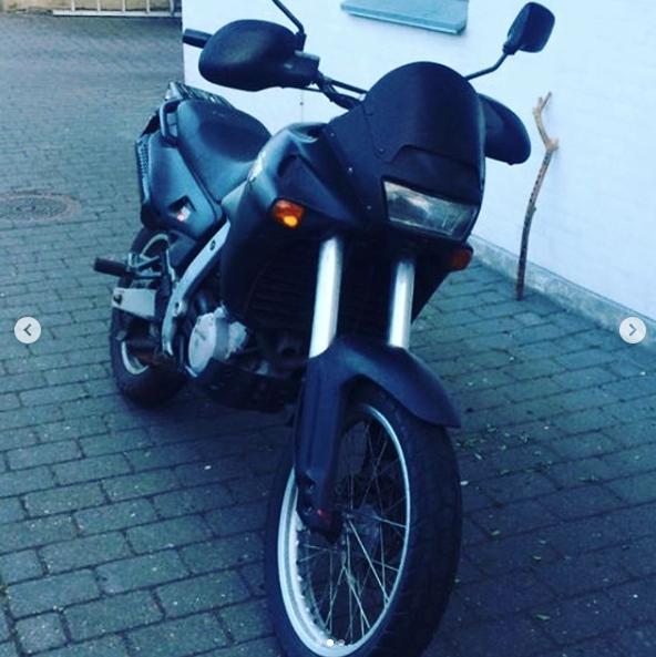 Aprilia Pegaso 650 billede 3