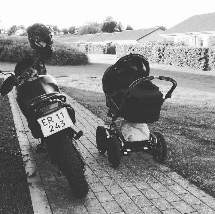 Aprilia Pegaso 650 billede 4