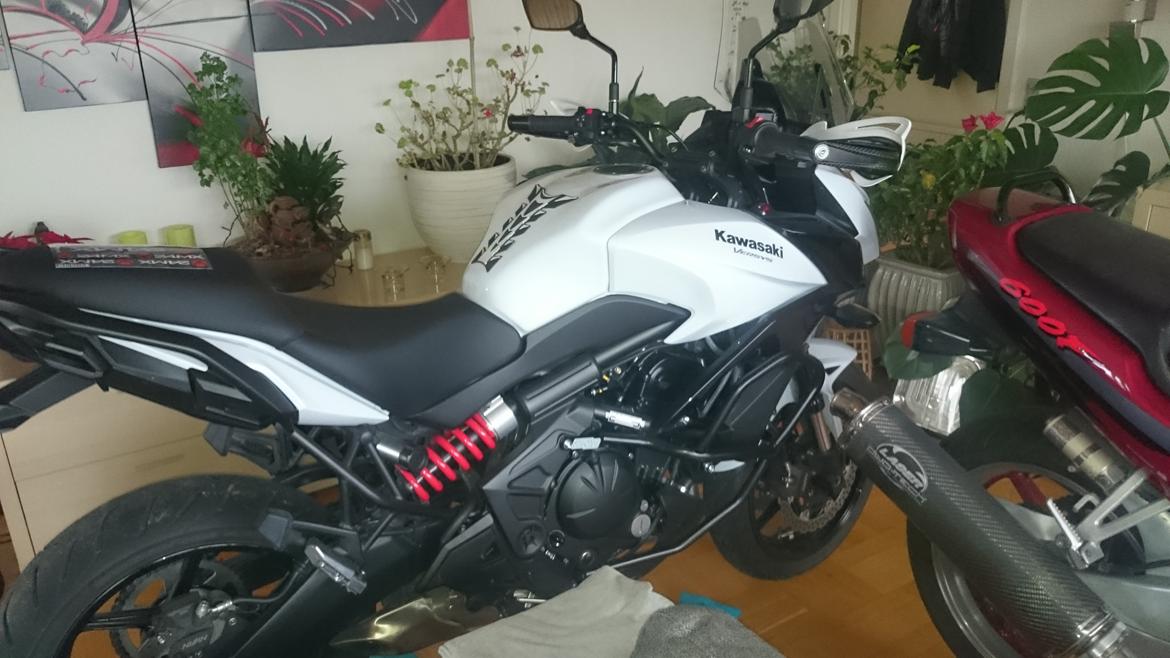 Kawasaki Versys 650  billede 9