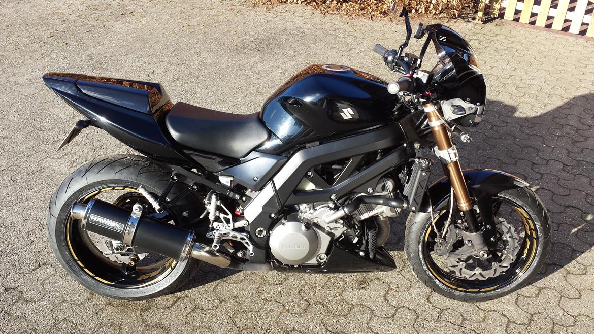 Suzuki SV1000 N billede 1