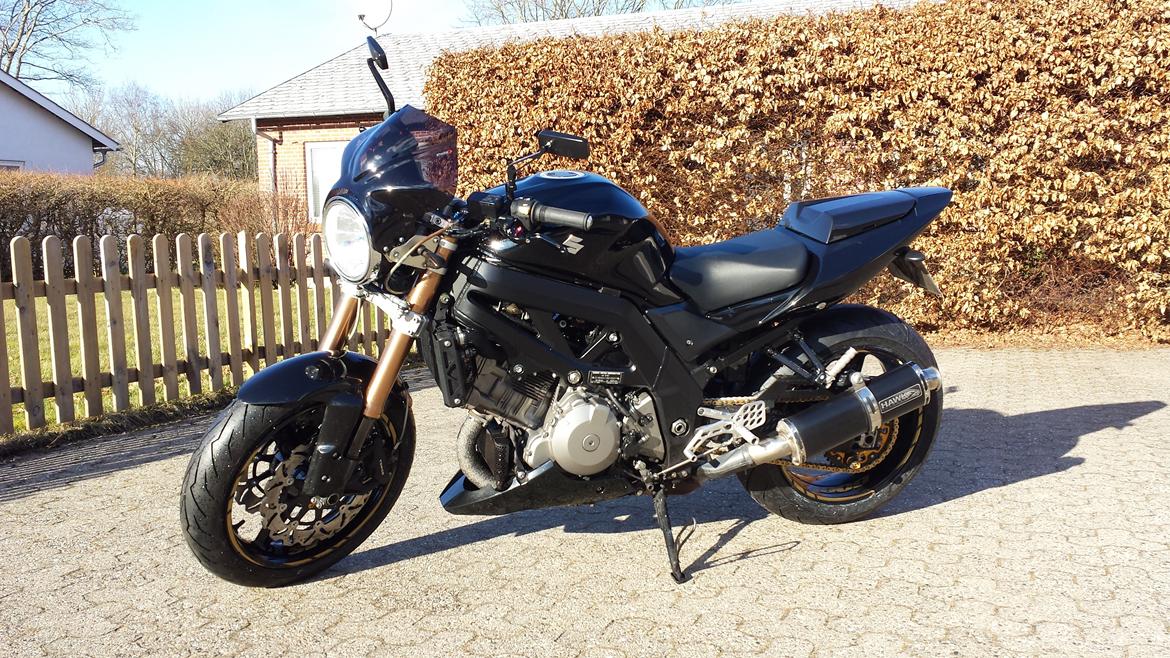 Suzuki SV1000 N billede 2