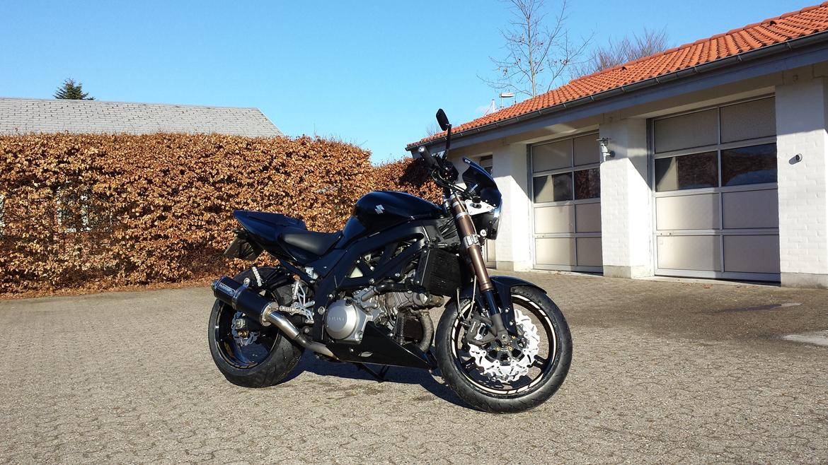 Suzuki SV1000 N billede 9