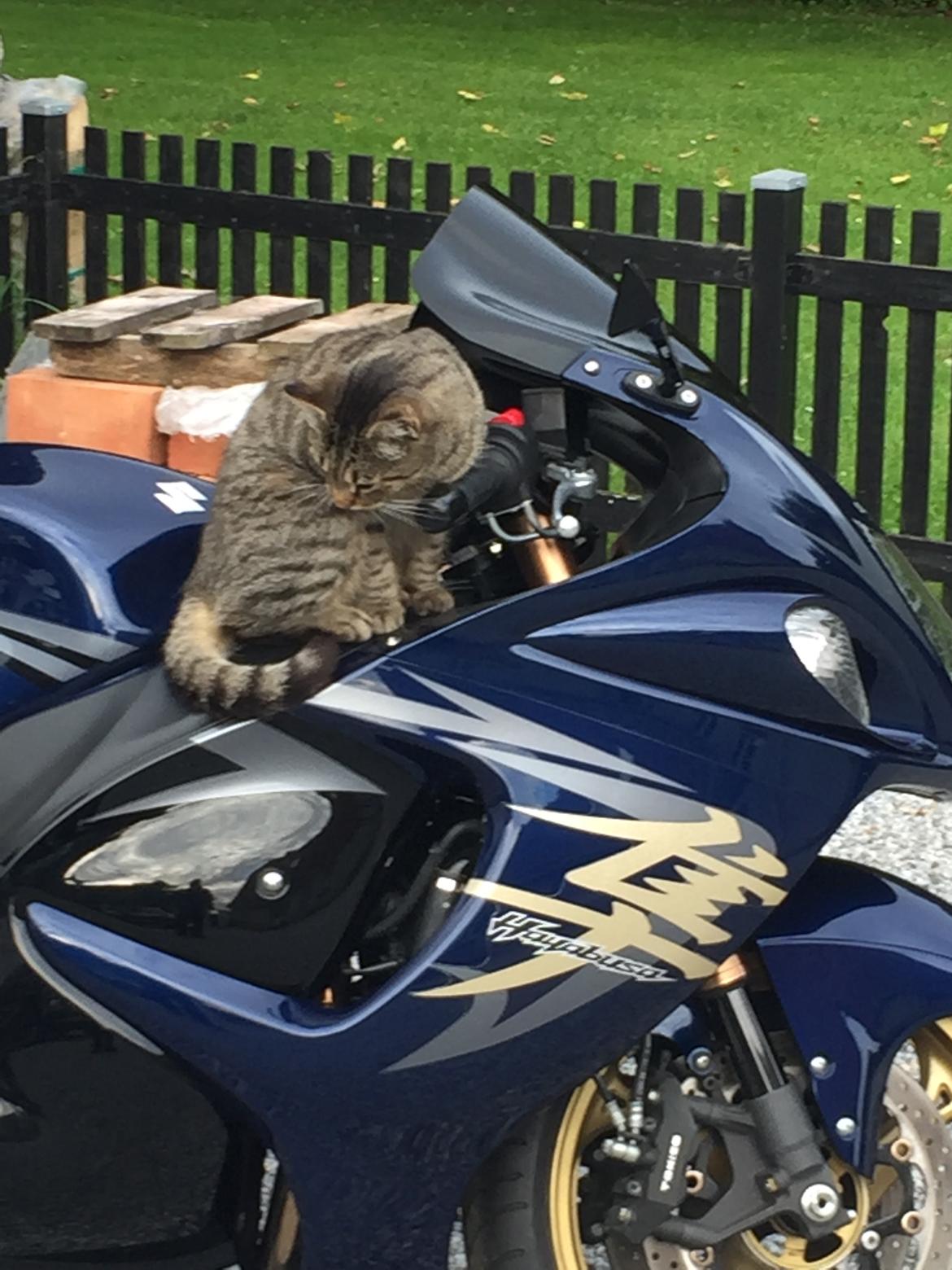 Suzuki HAYABUSA GSX 1340 R billede 4