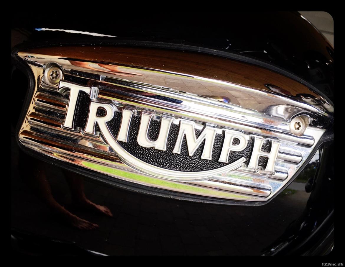 Triumph Thruxton 900 billede 7