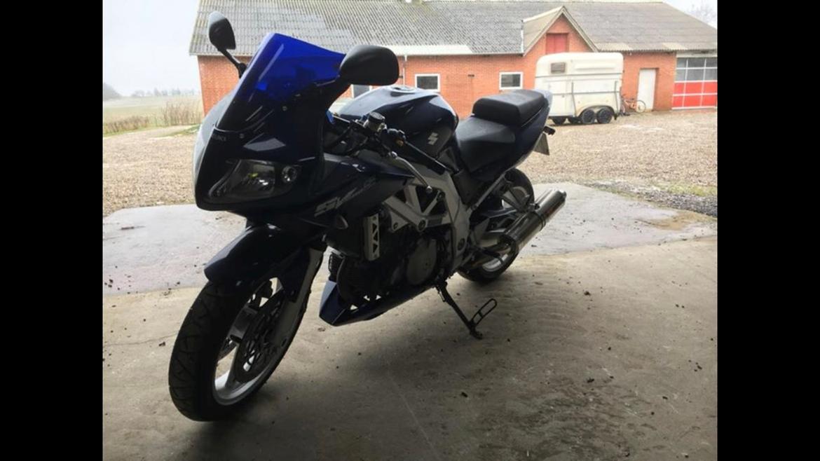 Suzuki SV 1000S Solgt billede 3