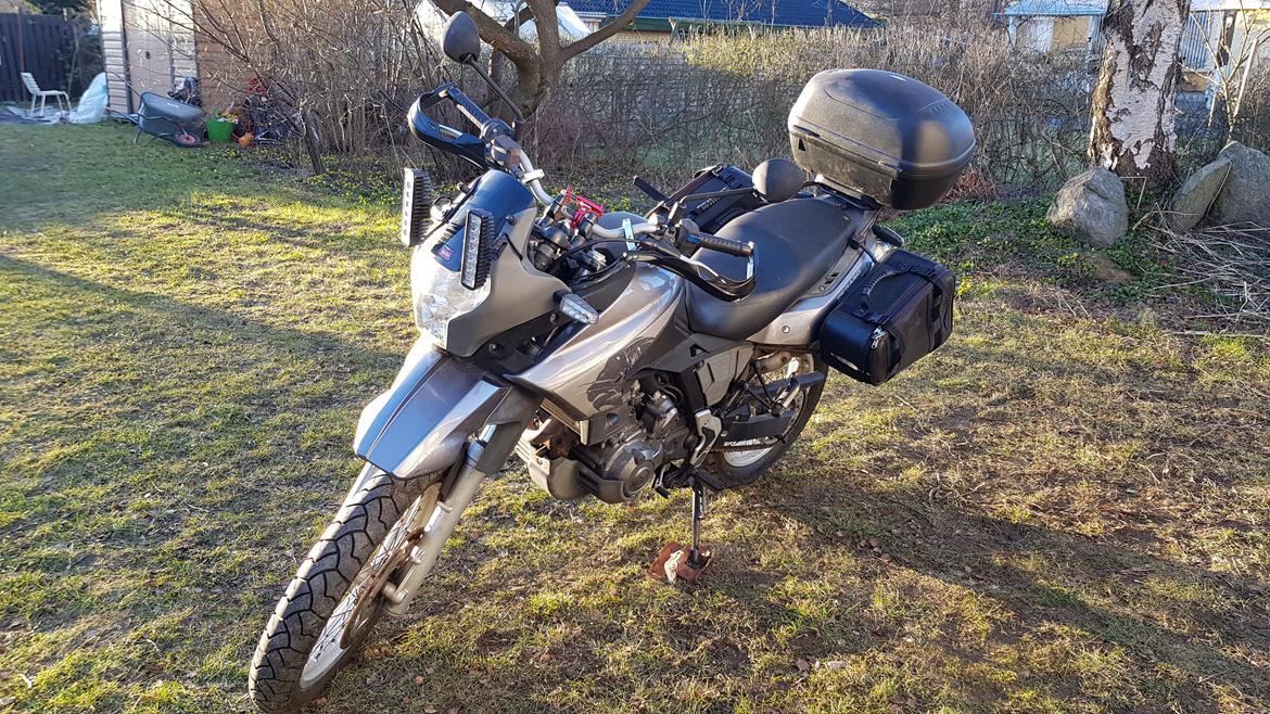 Aprilia Pegaso Trail billede 5