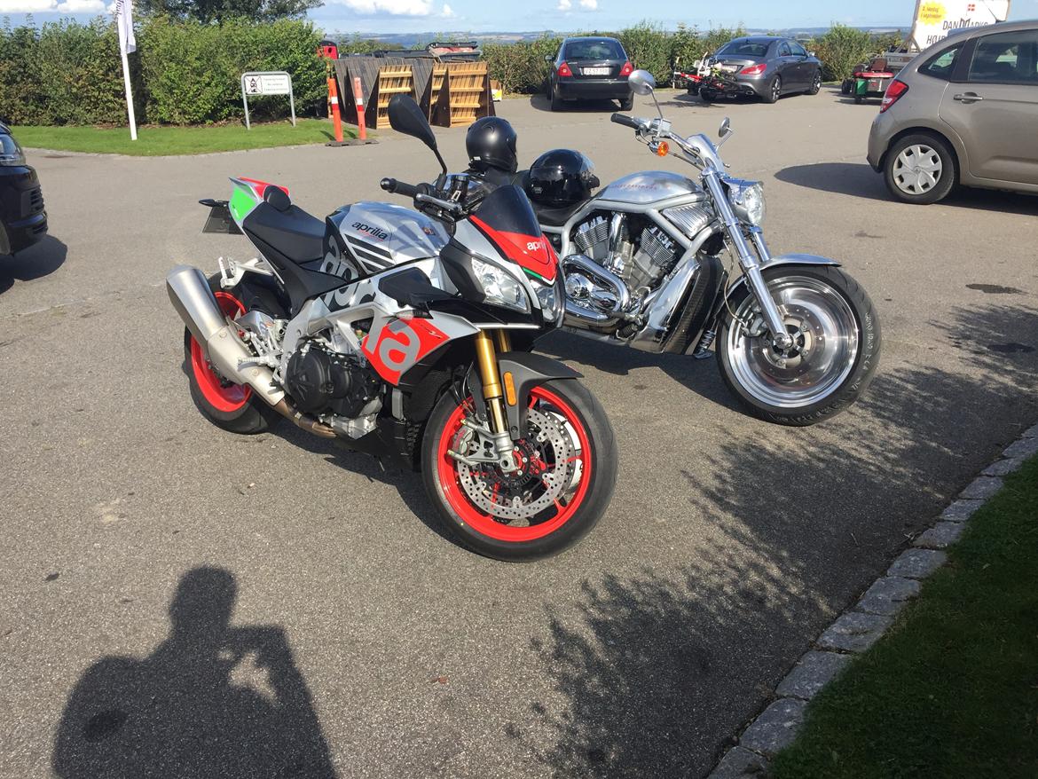 Aprilia Tuono 1100 Factory billede 6