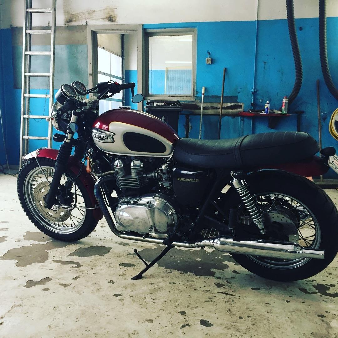 Triumph Bonneville T100 billede 6