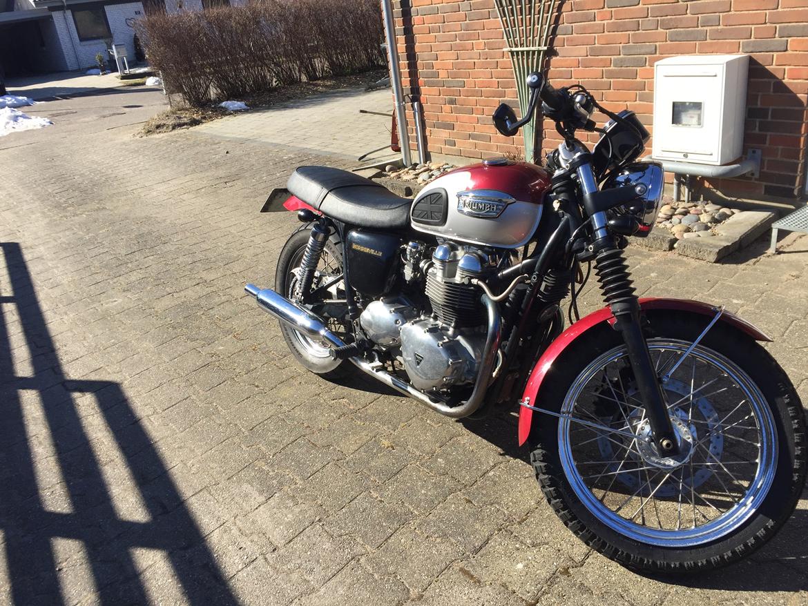 Triumph Bonneville T100 billede 5