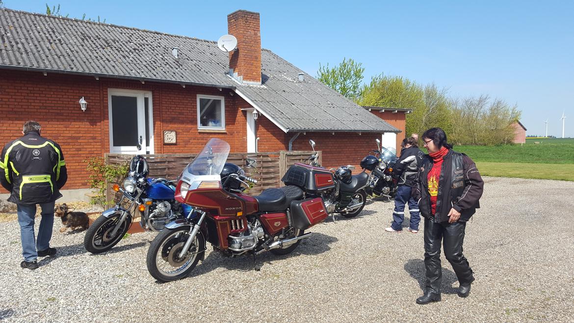 Honda GL1000 billede 5