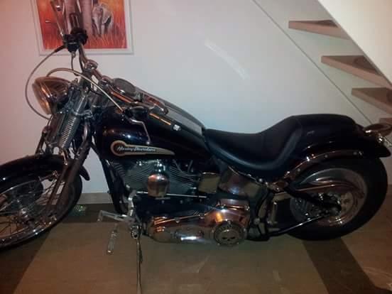 Harley Davidson fxsts billede 3