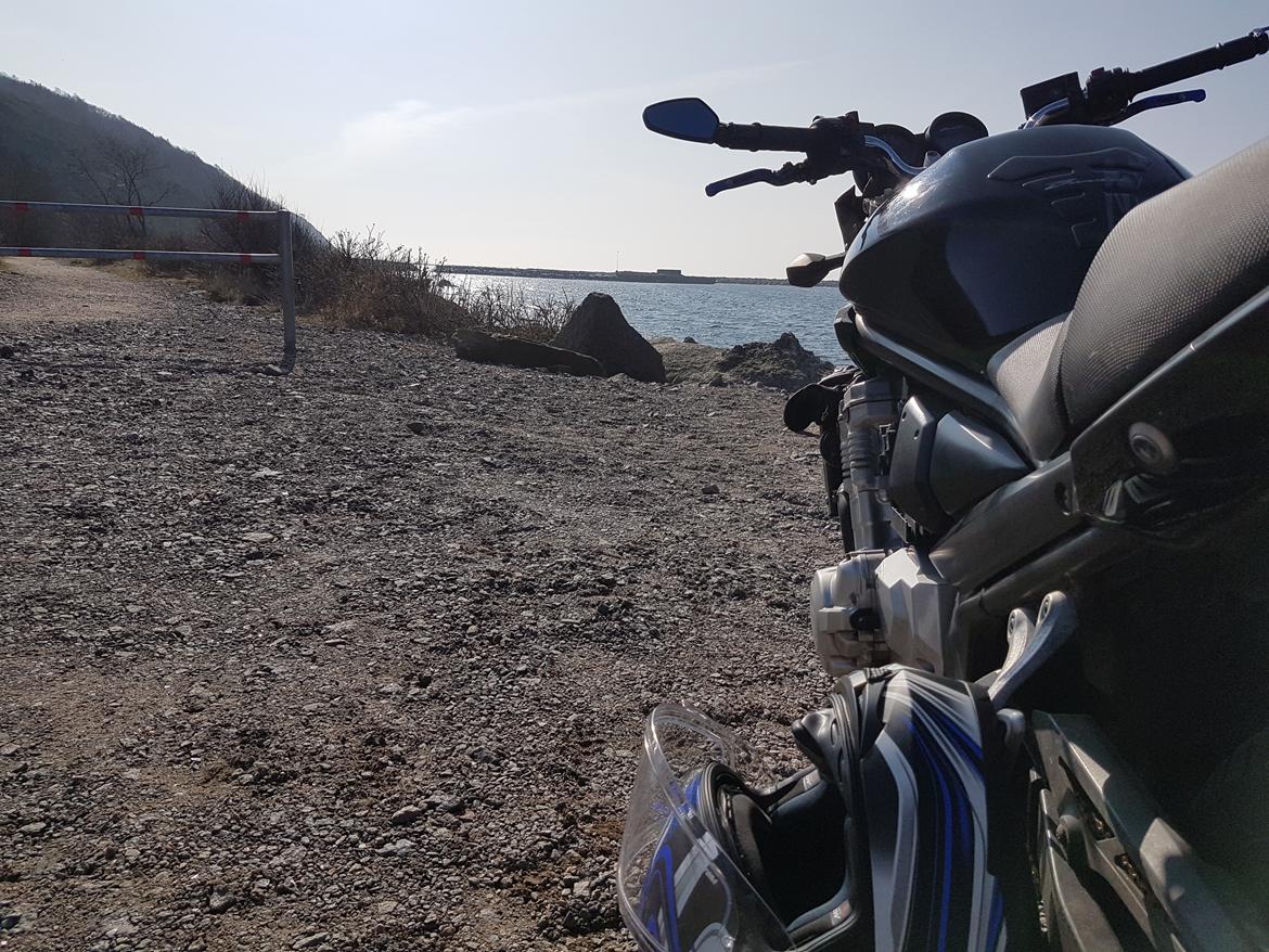 Suzuki GSF 650 Bandit billede 3