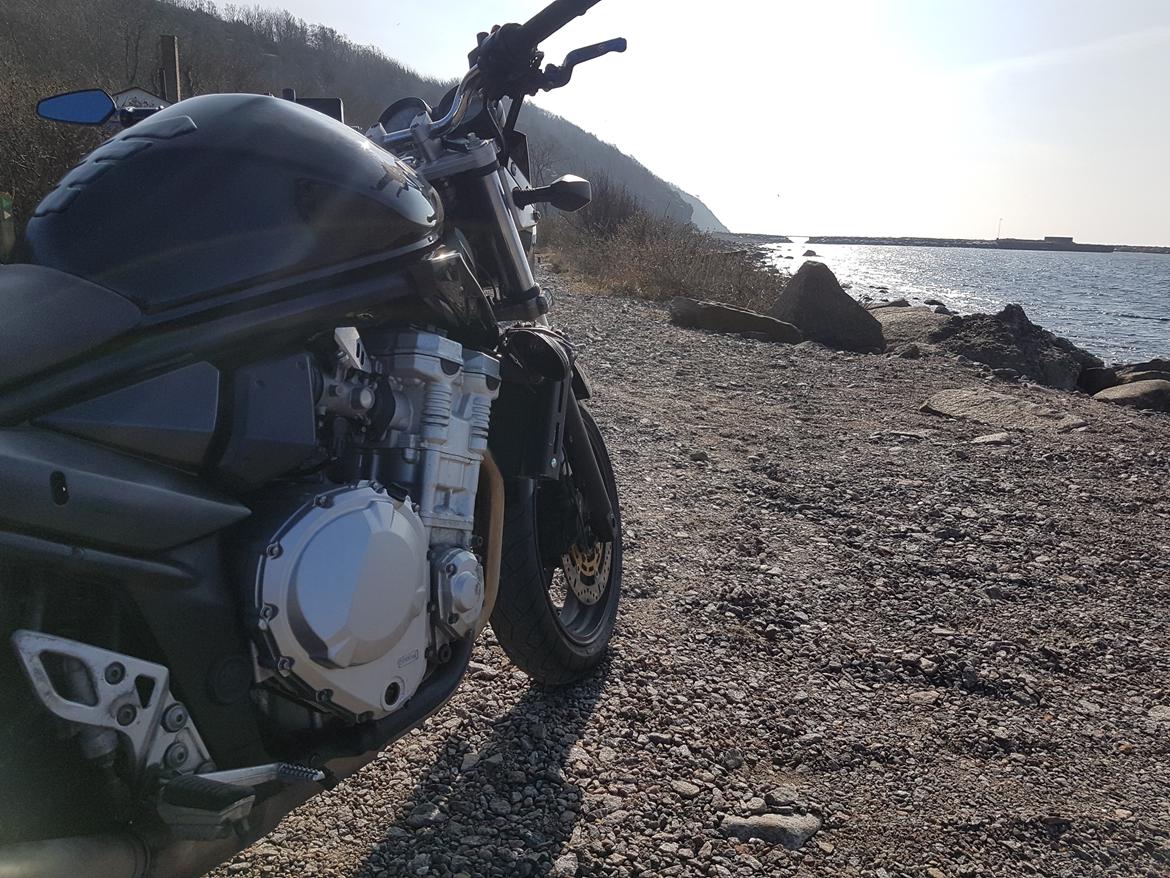 Suzuki GSF 650 Bandit billede 4