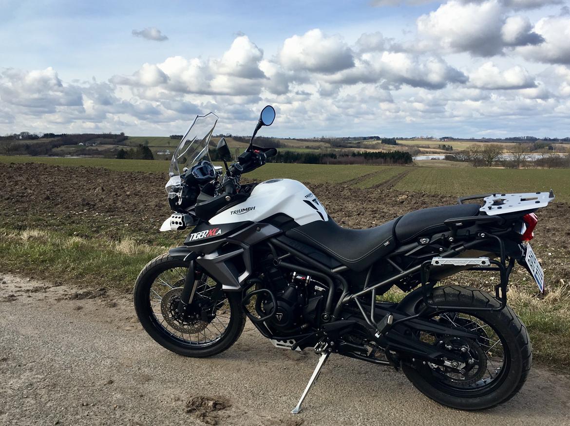 Triumph Tiger 800 XCa billede 4