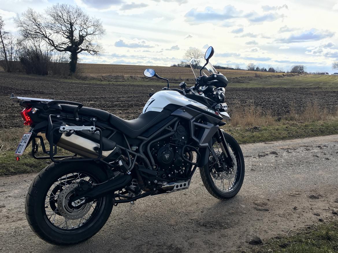 Triumph Tiger 800 XCa billede 8