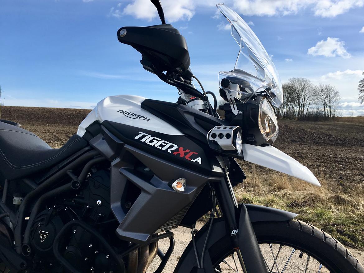 Triumph Tiger 800 XCa billede 16