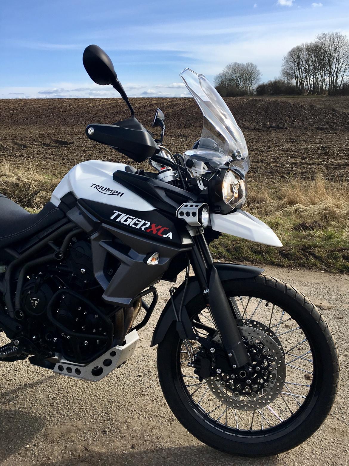 Triumph Tiger 800 XCa billede 11