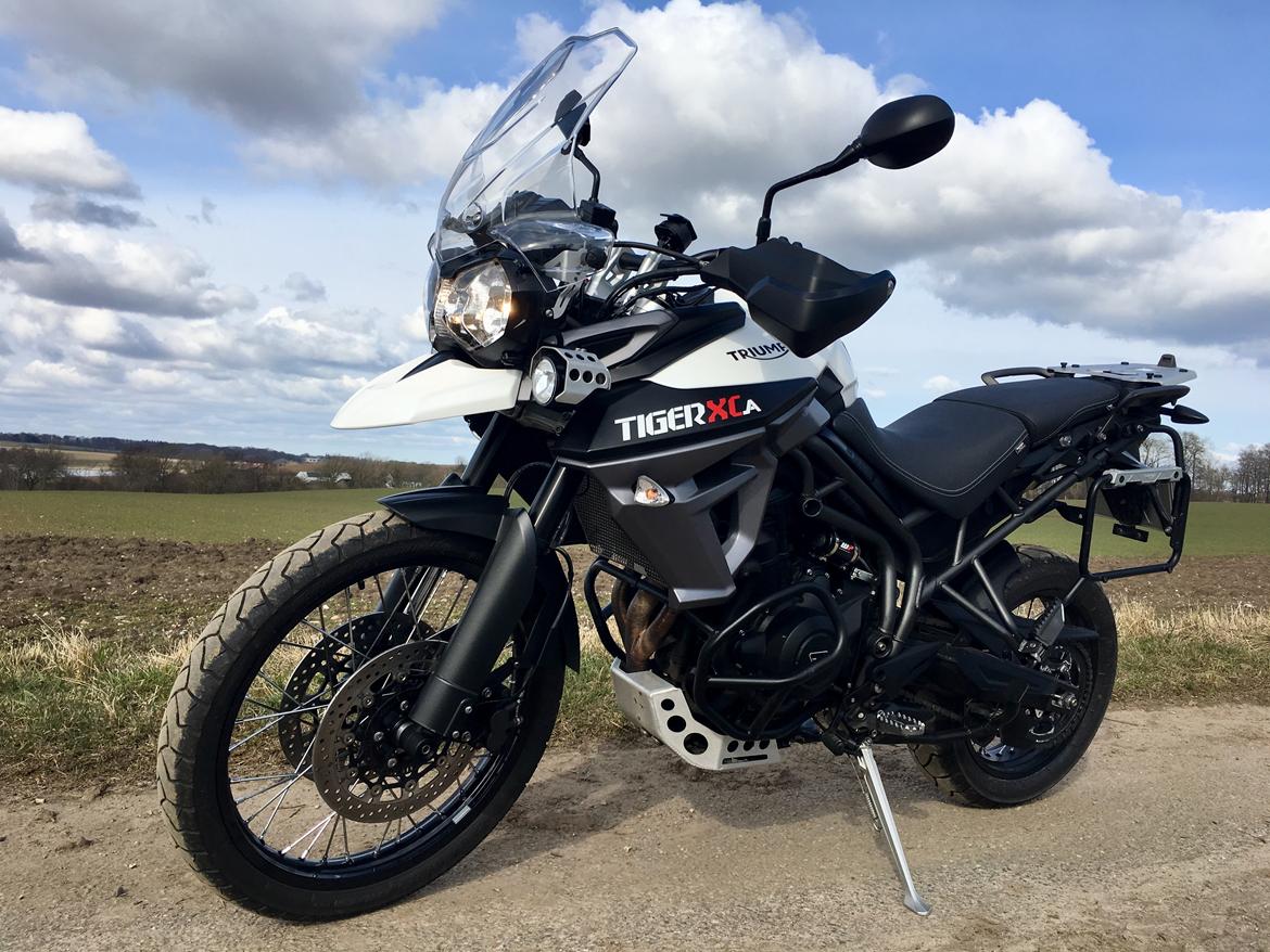 Triumph Tiger 800 XCa billede 14