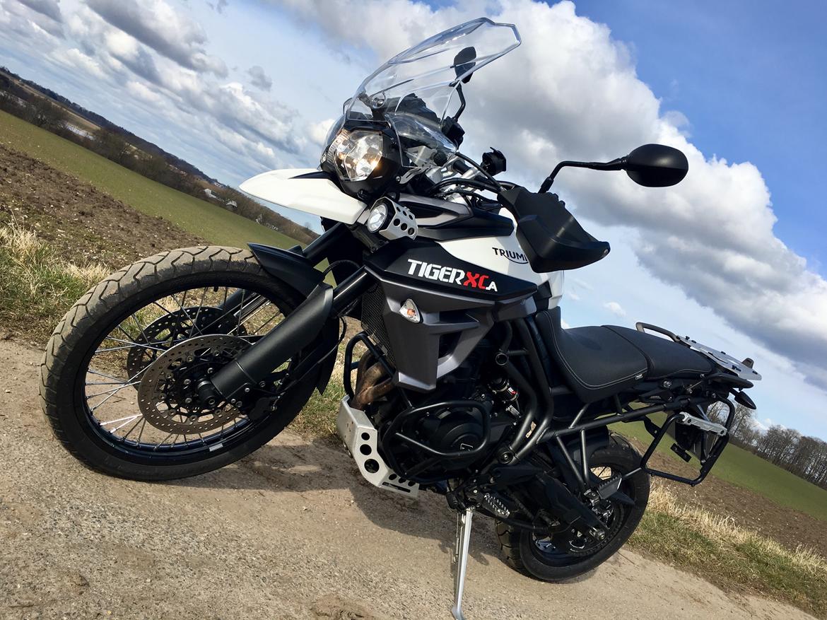 Triumph Tiger 800 XCa billede 15