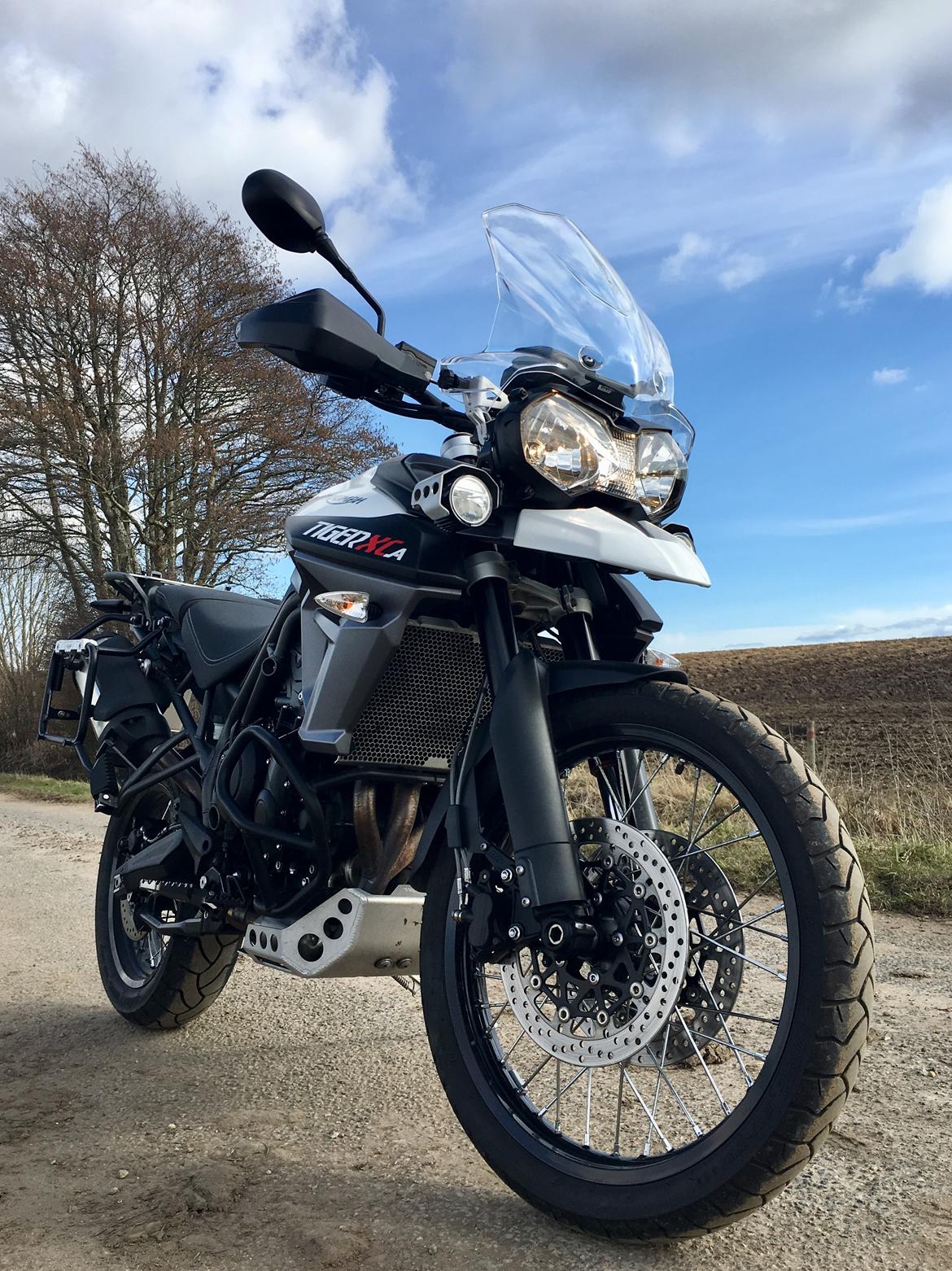 Triumph Tiger 800 XCa billede 12