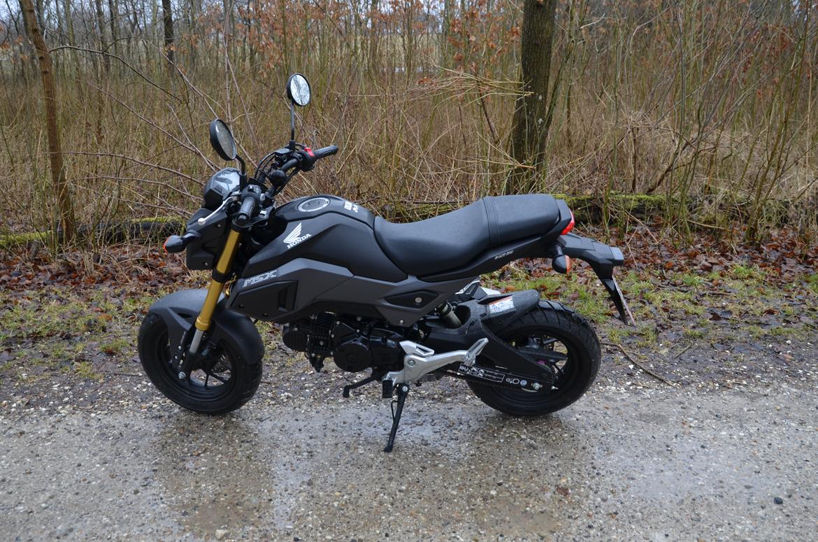 Honda MSX 125 aka GROM Solgt! billede 1