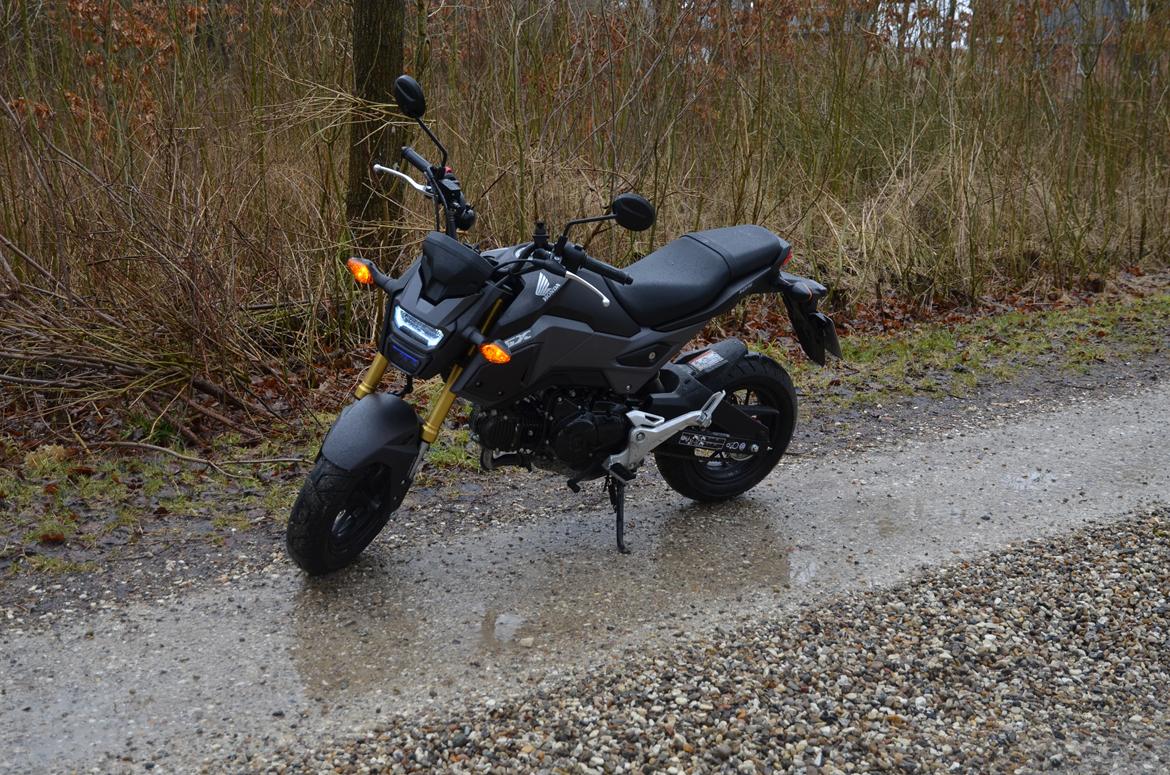 Honda MSX 125 aka GROM Solgt! billede 7