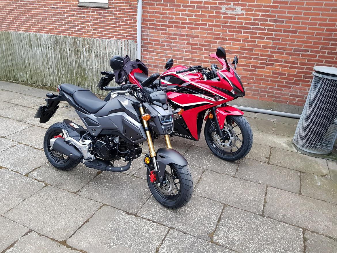 Honda MSX 125 aka GROM Solgt! billede 9