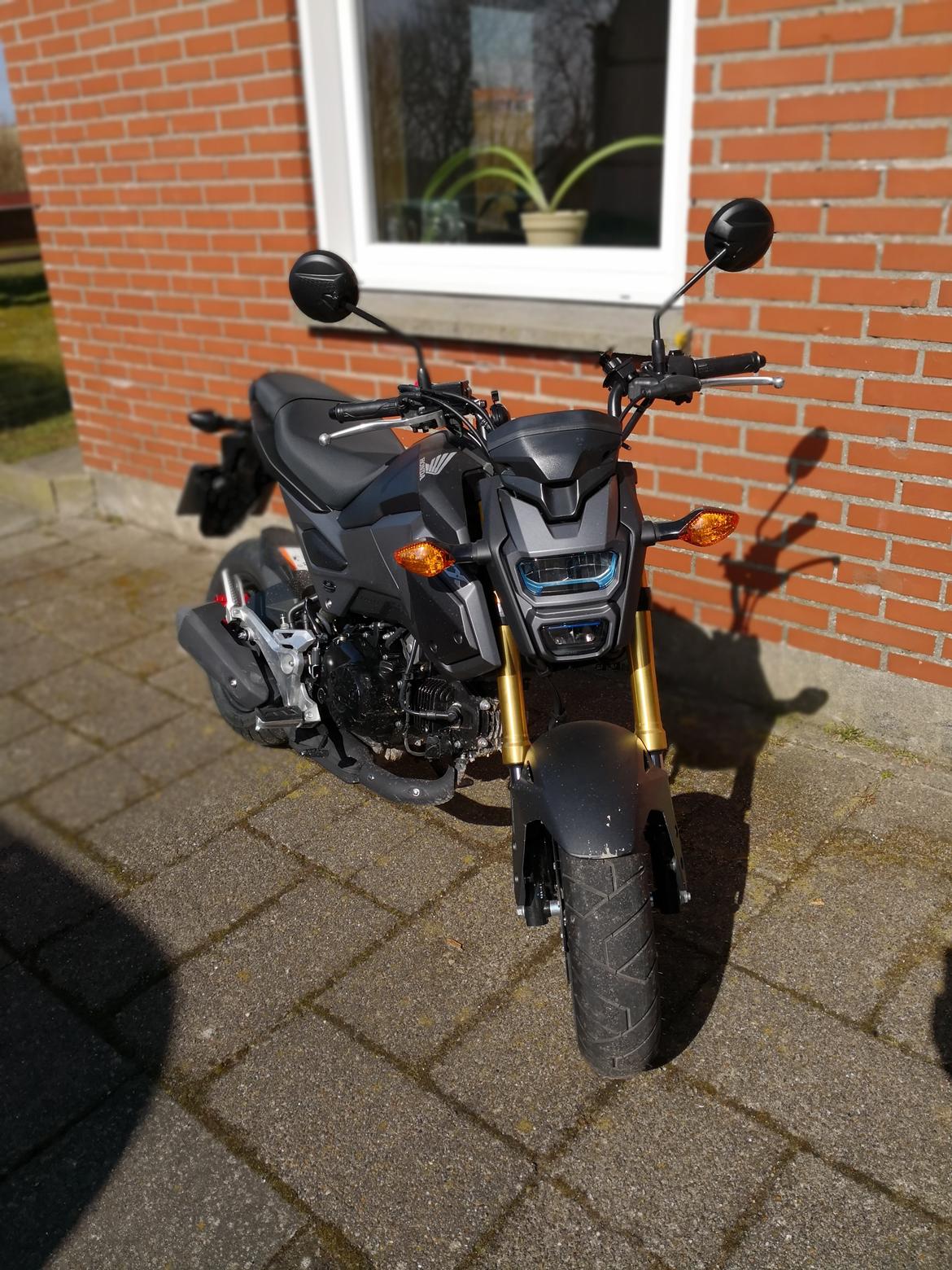 Honda MSX 125 aka GROM Solgt! billede 11