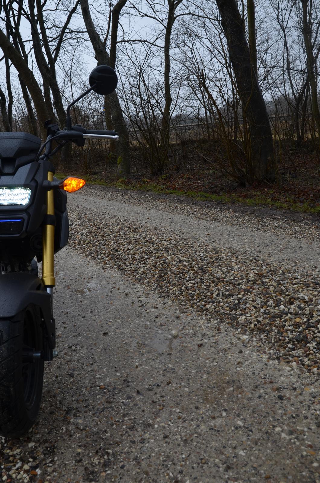 Honda MSX 125 aka GROM Solgt! billede 12