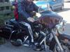 Harley Davidson FLT