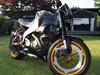 Buell XB12S