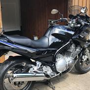 Yamaha XJ 900 Diversion