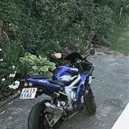 Yamaha YZF R6