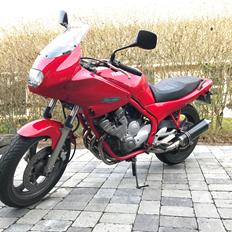 Yamaha XJ 600 S Diversion