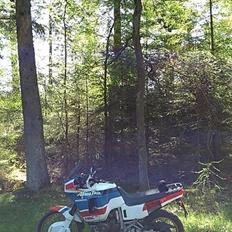 Honda XRV 650 Africa Twin (750 bastard)