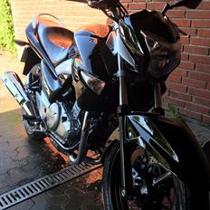 Suzuki GW Inazuma 250