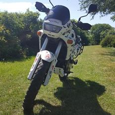 Aprilia pegaso 650