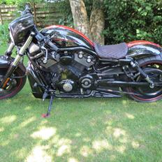 Harley Davidson Night Rod Special,, (Solgt) 